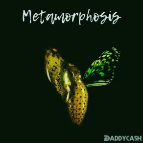 Metamorphosis album cover