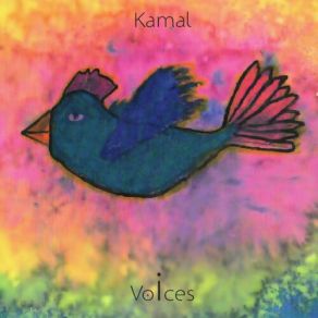 Voices album cover