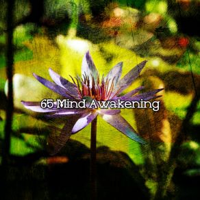 65 Mind Awakening album cover