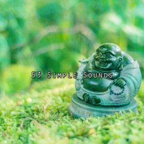 53 Simple Sounds album cover