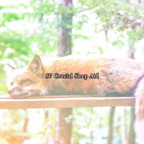 57 Crucial Sleep Aid album cover