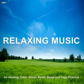 # 001 Relaxing Music For Healing, Calm, Stress Relief, Sleep And Yoga Practice album cover