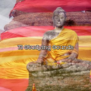 73 Studying Sounds album cover