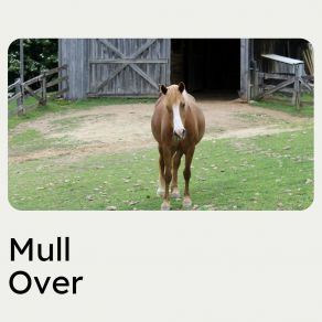 Mull Over album cover