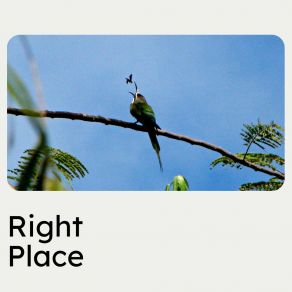 Right Place album cover
