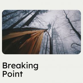 Breaking Point album cover