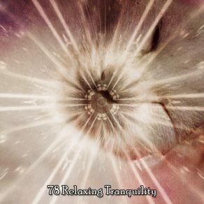 78 Relaxing Tranquility album cover