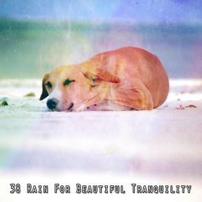 38 Rain For Beautiful Tranquility album cover