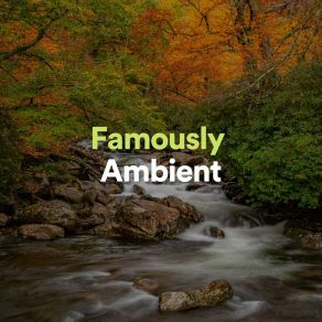 Famously Ambient album cover
