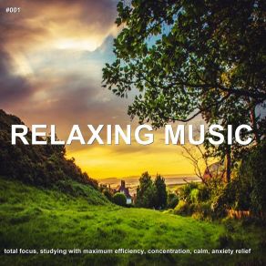 # 001 Relaxing Music Total Focus, Studying With Maximum Efficiency, Concentration, Calm, Anxiety Relief album cover