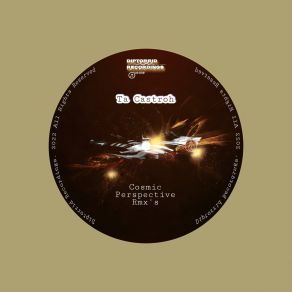 Cosmic Perspective Rmx's album cover