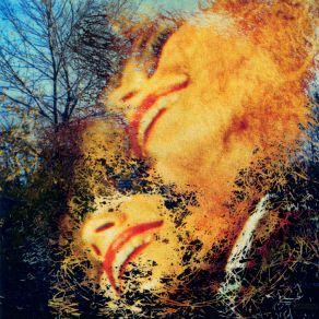 See Those Colours Fly album cover