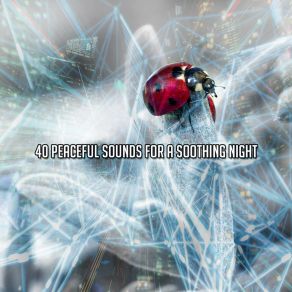 40 Peaceful Sounds For A Soothing Night album cover