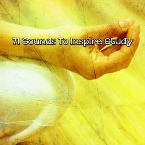 71 Sounds To Inspire Study album cover
