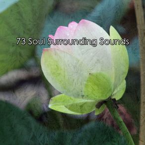 73 Soul Surrounding Sounds album cover