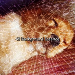 49 Background Essence album cover