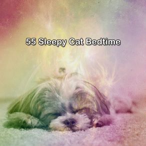 55 Sleepy Cat Bedtime album cover