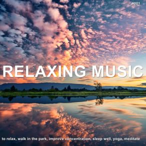 # 001 Relaxing Music To Relax, Walk In The Park, Improve Concentration, Sleep Well, Yoga, Meditate album cover