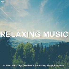 # 001 Relaxing Music To Sleep Well, Yoga, Meditate, Cure Anxiety, Forget Problems album cover