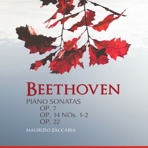 Beethoven: Piano Sonatas, Opp. 7, 14 & 22 album cover