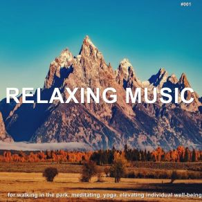 # 001 Relaxing Music For Walking In The Park, Meditating, Yoga, Elevating Individual Well-Being album cover
