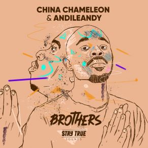 Brothers album cover