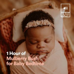 1 Hour Of Mulberry Bush For Baby Bedtime album cover