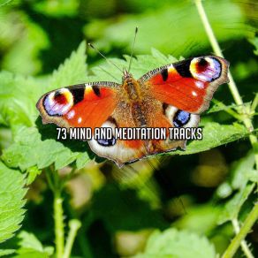 73 Mind And Meditation Tracks album cover
