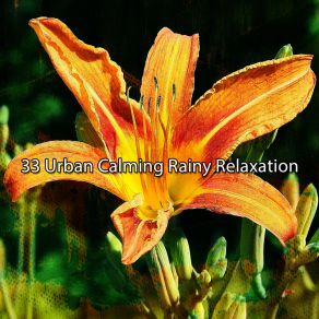 33 Urban Calming Rainy Relaxation album cover