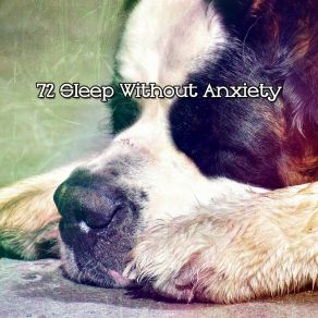 72 Sleep Without Anxiety album cover