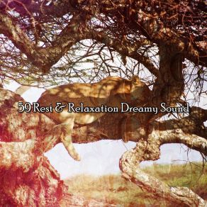 59 Rest & Relaxation Dreamy Sound album cover