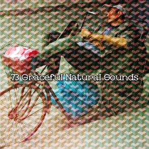 73 Graceful Natural Sounds album cover