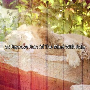 36 Remove Pain Of The Mind With Rain album cover