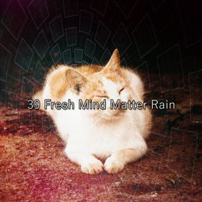 39 Fresh Mind Matter Rain album cover