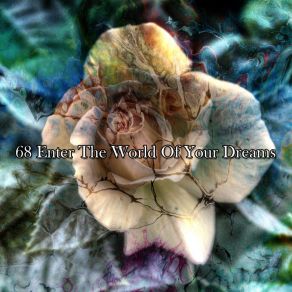 68 Enter The World Of Your Dreams album cover