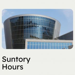 Suntory Hours album cover