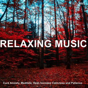 # 001 Relaxing Music Cure Anxiety, Meditate, Heal, Increase Calmness And Patience album cover