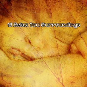 43 Relax You Surroundings album cover