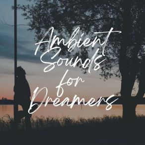 Ambient Sounds For Dreamers album cover