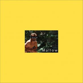 Casual album cover
