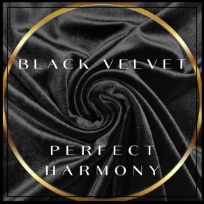 Perfect Harmony album cover