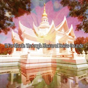 11 Fortitude Through Binaural Beats Sounds album cover