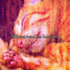 31 Rainy Asian Zen Sanctuary album cover