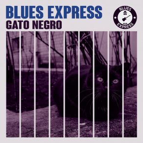 Gato Negro album cover