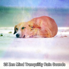 25 Zen Mind Tranquility Rain Sounds album cover