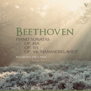 Beethoven: Piano Sonatas, Opp. 81a, 101 & 106 Hammerklavier album cover