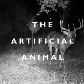 The Artificial Animal album cover