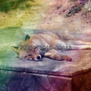78 Optimal Brain album cover