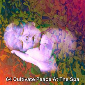 64 Cultivate Peace At The Spa album cover