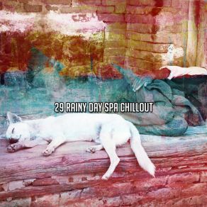 29 Rainy Day Spa Chillout album cover